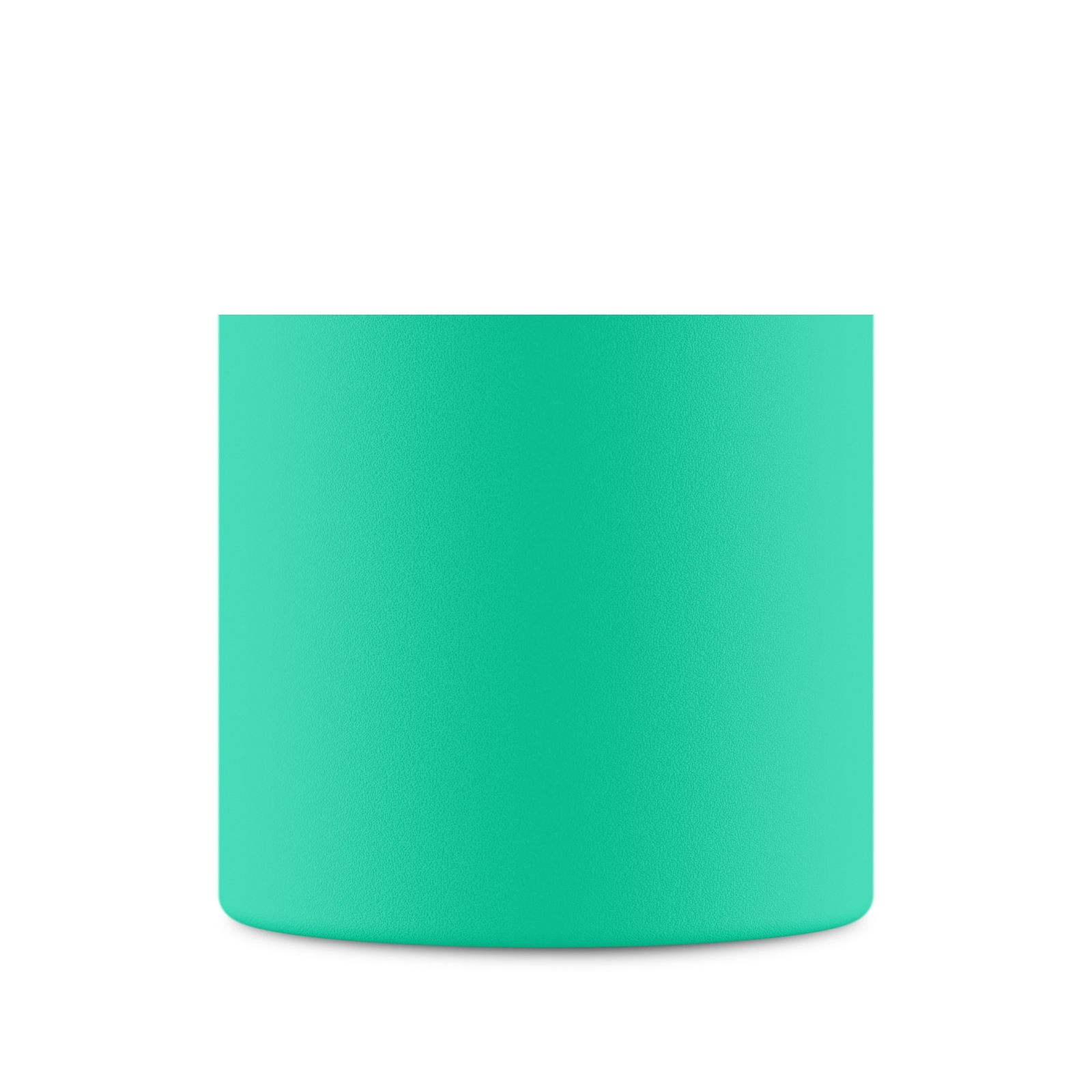 Clima Bottle Mint - 500 ml