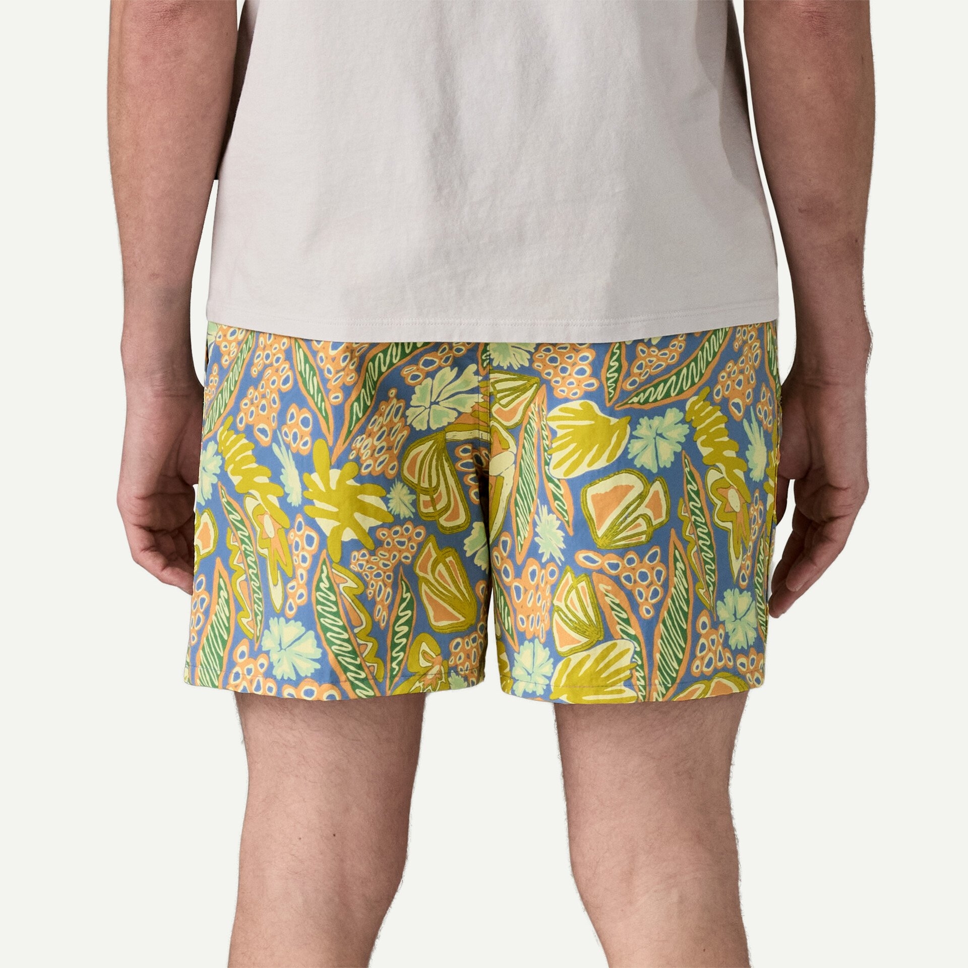 Men's Baggies™ Shorts - 5"
