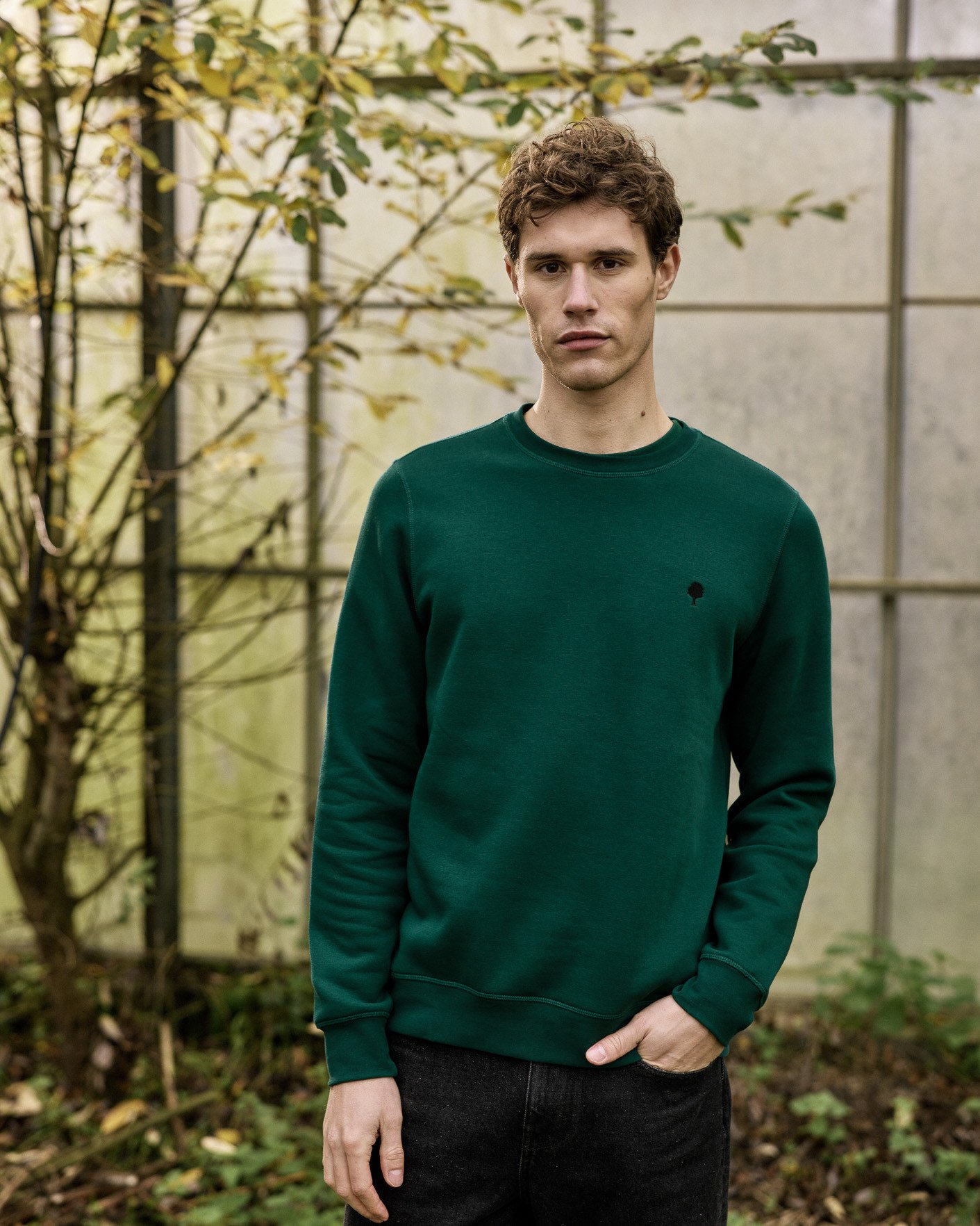 Sweat col rond vert sapin coton - DONZY