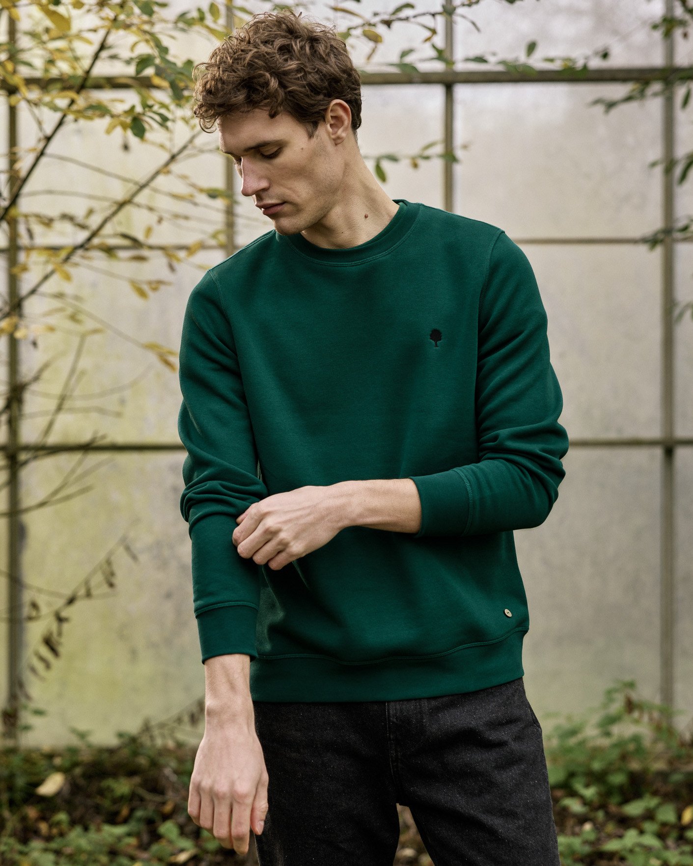 Sweat col rond vert sapin coton - DONZY