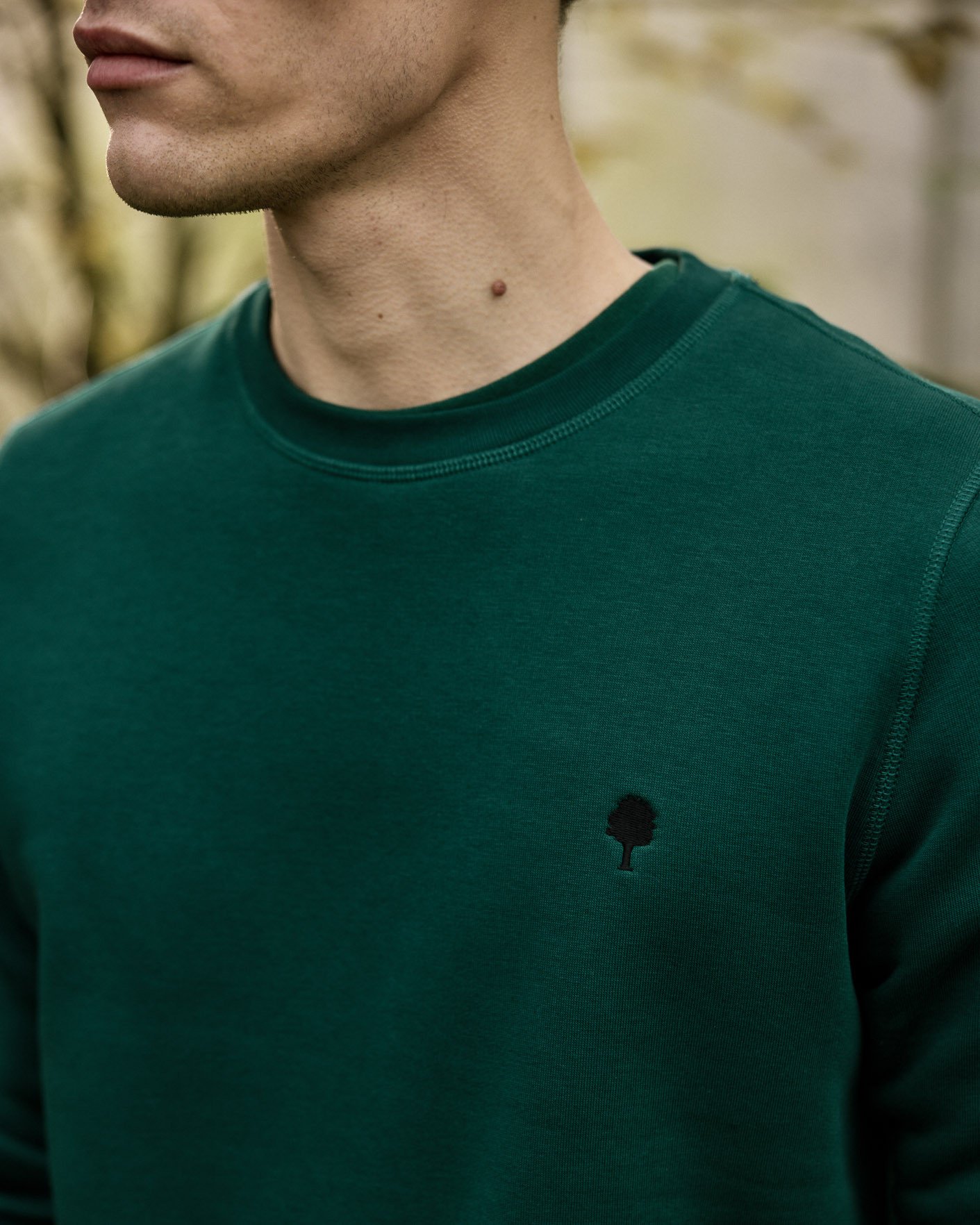 Sweat col rond vert sapin coton - DONZY