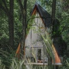 Chino kaki coton - BRIX REGULAR