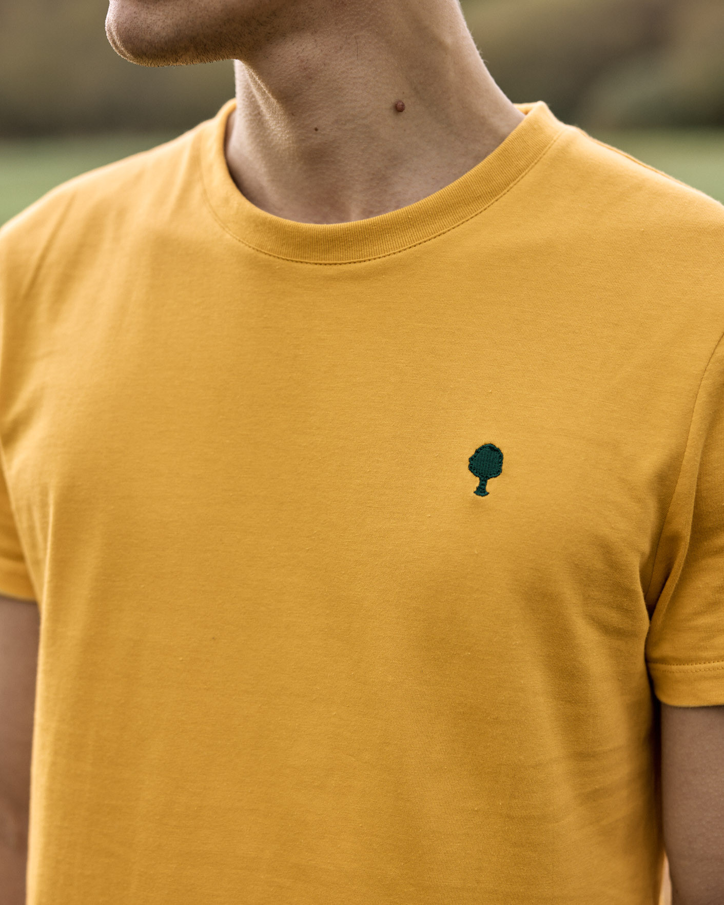 T-shirt ocre coton - ARCY