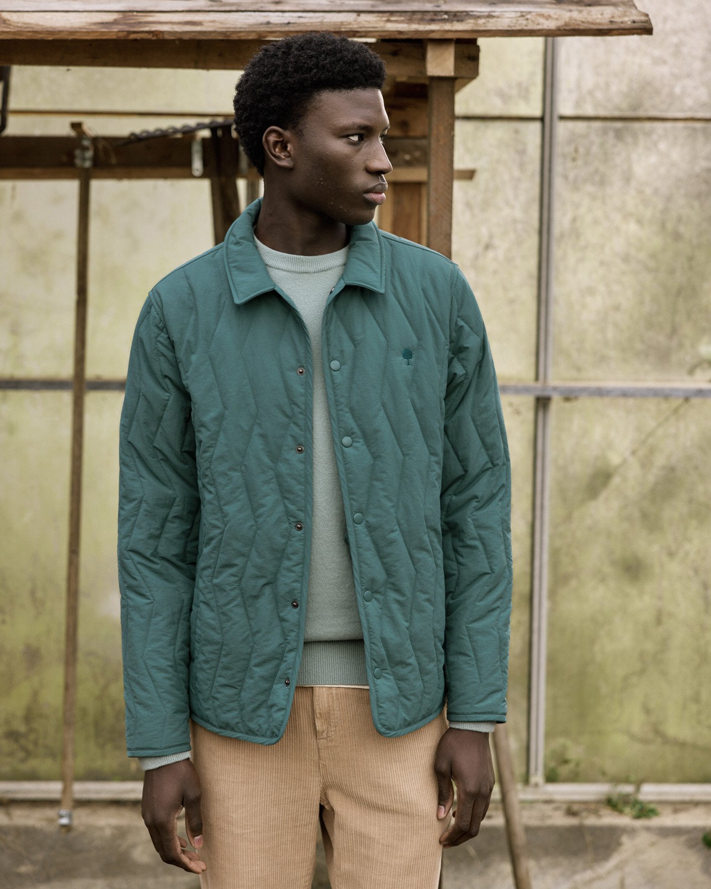 Veste en coton vert clair - OBERNAI