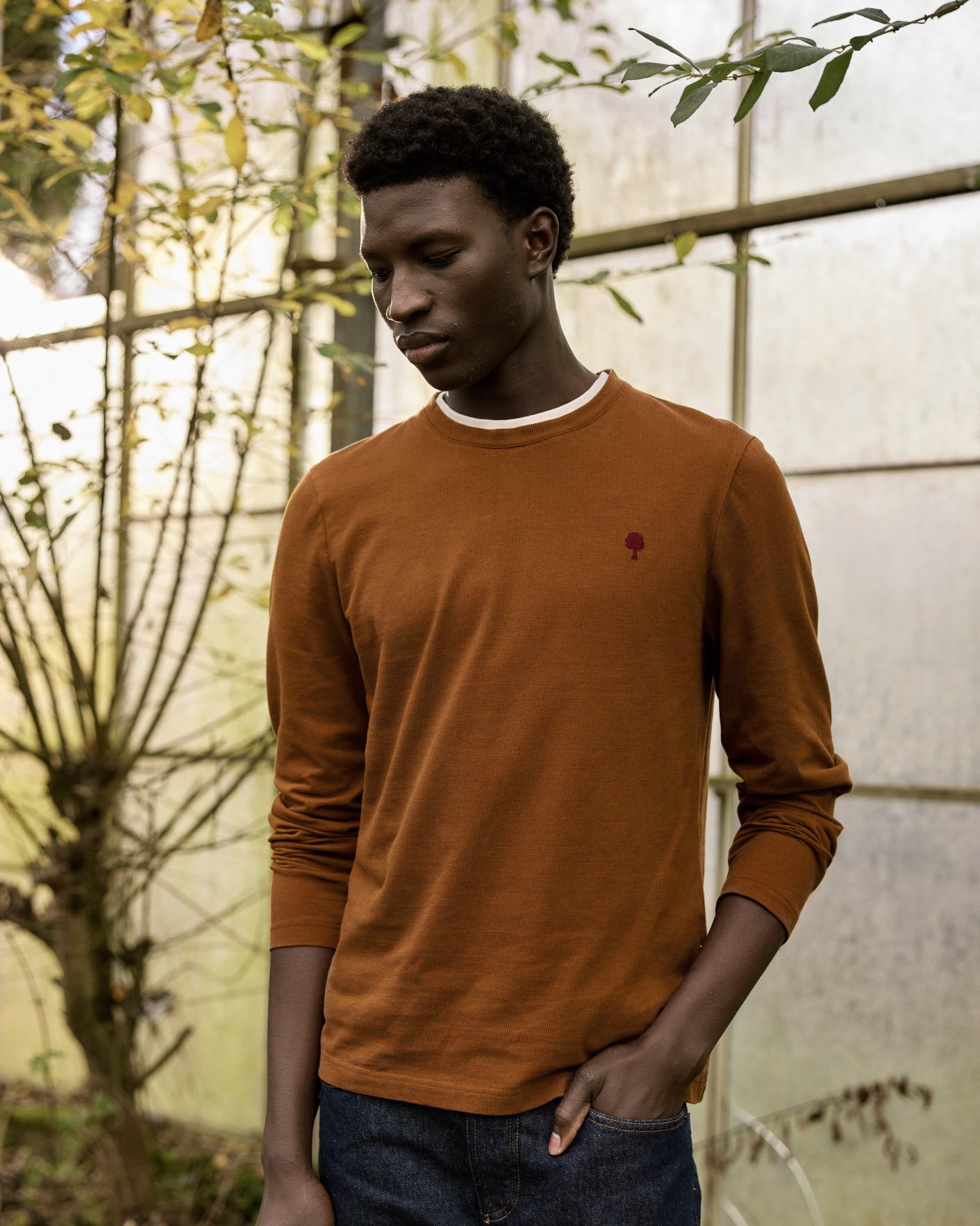 T-shirt manches longues rouille coton - BAILLY